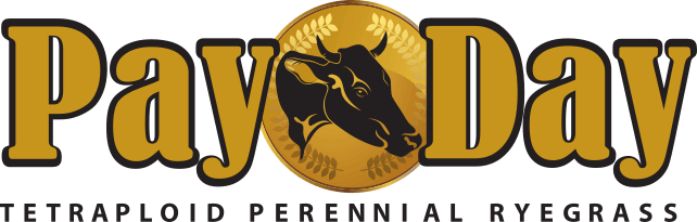 Payday Tetra Perennial Ryegrass Logo